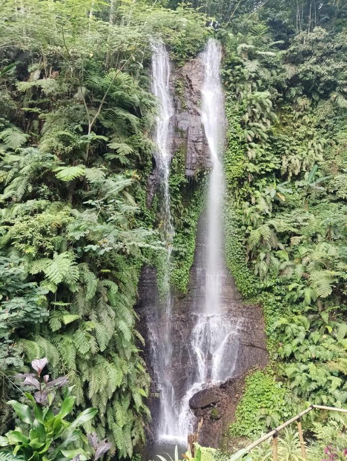 Munduk Tutub Waterfall View Exterior foto